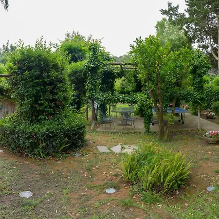 Villa Aurora Caprese Capri