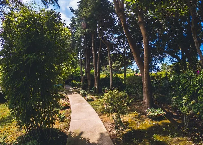 Aurora Caprese Κάπρι