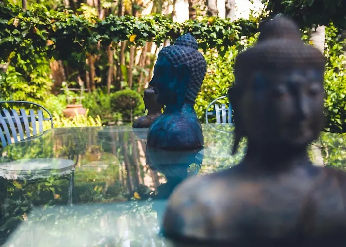 别墅 Aurora Caprese 卡普里